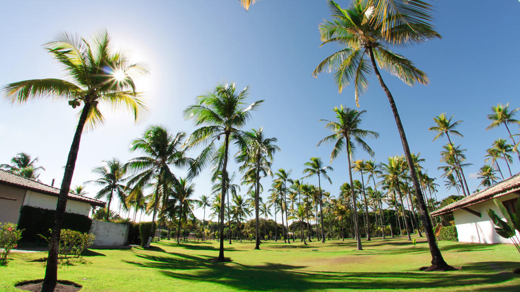 Eco Bahia Hotel